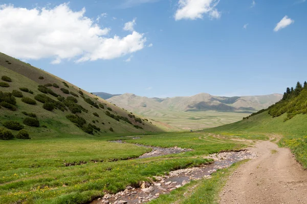 Montaña Monte Colina Kazajstán Tien Shan Meseta Assy — Foto de Stock