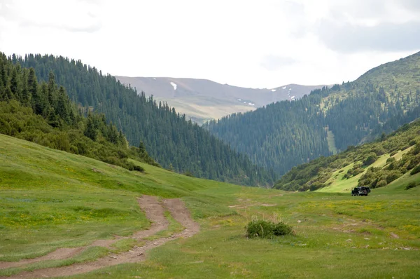 Góra Góra Wzgórze Kazachstan Tien Shan Assy Płaskowyżu — Zdjęcie stockowe