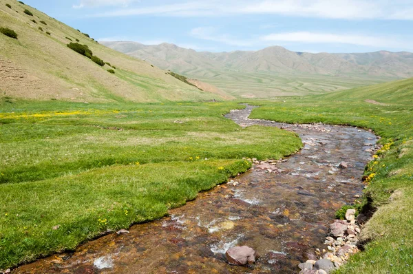 dağ, dağ, tepe. Kazakistan. Tien Shan. Takma Yaylası
