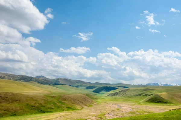 dağ, dağ, tepe. Kazakistan. Tien Shan. Takma Yaylası