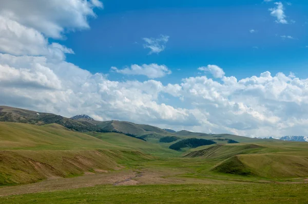 dağ, dağ, tepe. Kazakistan. Tien Shan. Takma Yaylası