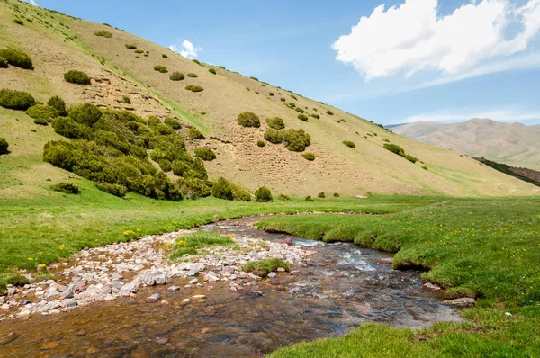 Montaña Monte Colina Kazajstán Tien Shan Meseta Assy — Foto de Stock