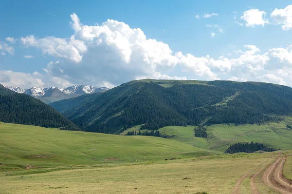 dağ yolundan. dağ, dağ, tepe. Kazakistan. Tien Shan. Takma Yaylası