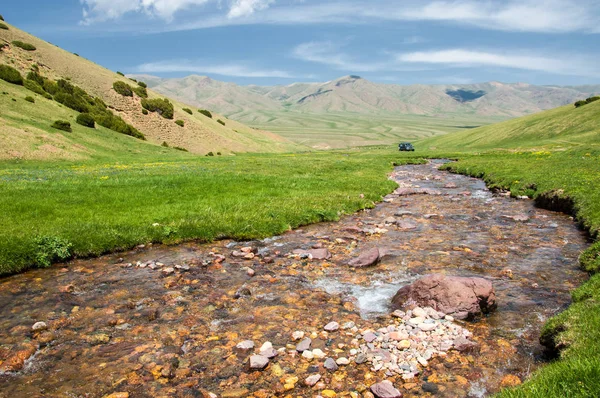 İğde. iğde veya iğde, cinsidir tür çiçekli bitki Elaeagnaceae aile hakkında.