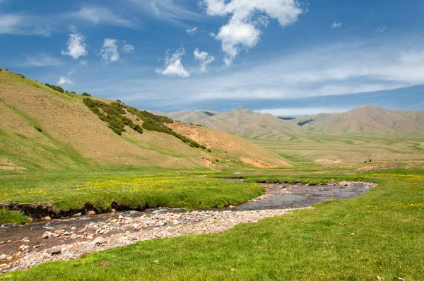 İğde. iğde veya iğde, cinsidir tür çiçekli bitki Elaeagnaceae aile hakkında.