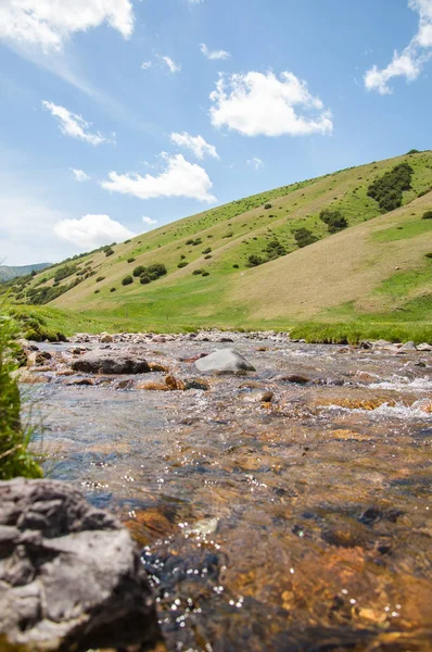 İğde. iğde veya iğde, cinsidir tür çiçekli bitki Elaeagnaceae aile hakkında.