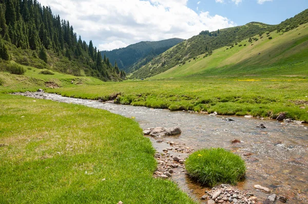 Mountain Mount Hill Kazakhstan Tien Shan Assy Plateau — Stock Photo, Image