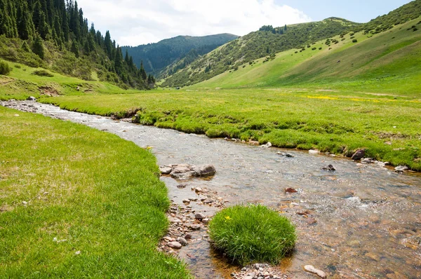dağ, dağ, tepe. Kazakistan. Tien Shan. Takma Yaylası