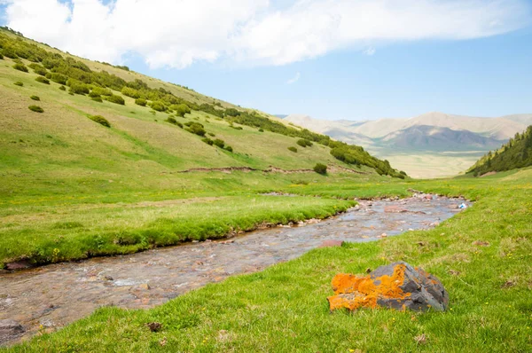 dağ, dağ, tepe. Kazakistan. Tien Shan. Takma Yaylası