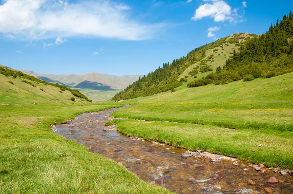 dağ, dağ, tepe. Kazakistan. Tien Shan. Takma Yaylası