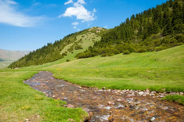 dağ, dağ, tepe. Kazakistan. Tien Shan. Takma Yaylası