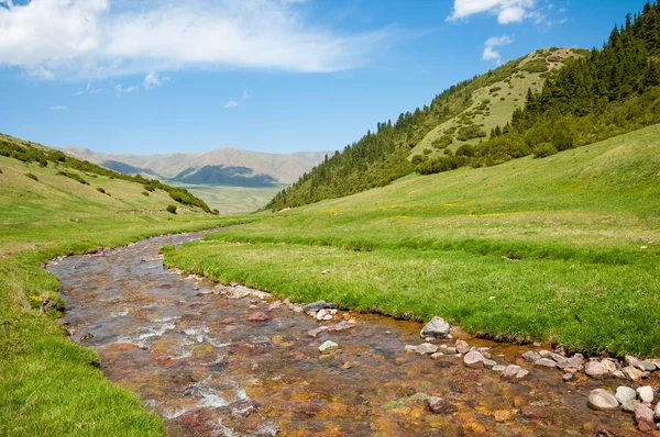 dağ, dağ, tepe. Kazakistan. Tien Shan. Takma Yaylası