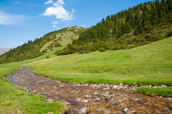dağ, dağ, tepe. Kazakistan. Tien Shan. Takma Yaylası