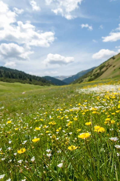 dağ, dağ, tepe. Kazakistan. Tien Shan. Takma Yaylası