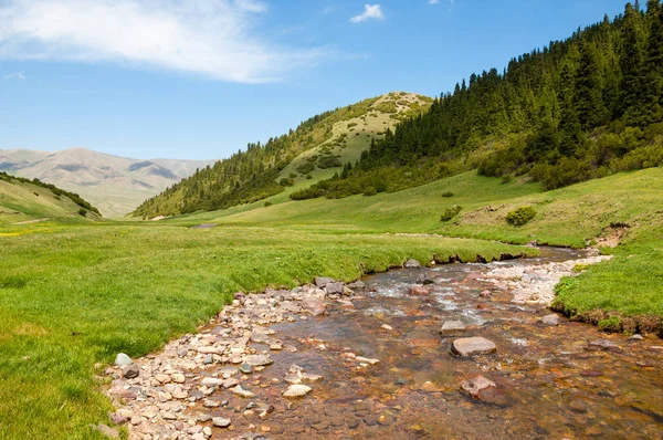 dağ, dağ, tepe. Kazakistan. Tien Shan. Takma Yaylası