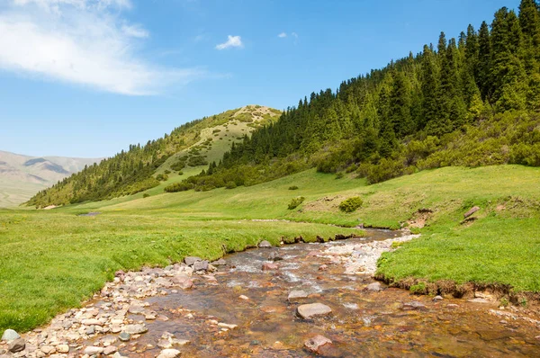dağ, dağ, tepe. Kazakistan. Tien Shan. Takma Yaylası