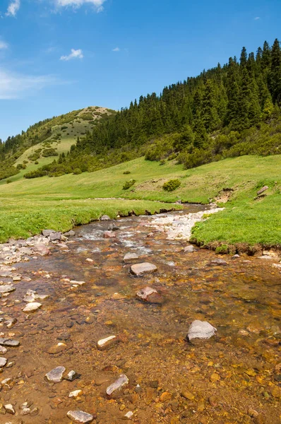 Hora Hora Vrch Kazachstán Tien Shan Komplet Plošina — Stock fotografie