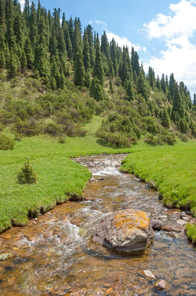 dağ, dağ, tepe. Kazakistan. Tien Shan. Takma Yaylası