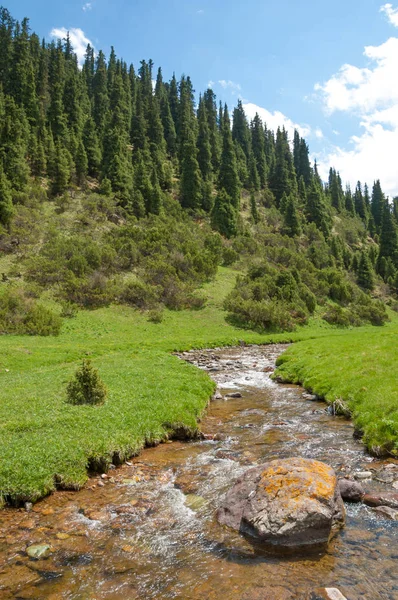 dağ, dağ, tepe. Kazakistan. Tien Shan. Takma Yaylası