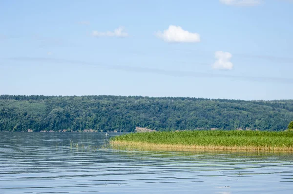 Yaz nehir sazlık ağaçlar gölgeliyor. Deniz, göl veya başka bir kanaldaki böyle dere akan su büyük bir doğal akışı.