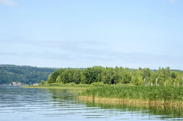 Yaz nehir sazlık ağaçlar gölgeliyor. Deniz, göl veya başka bir kanaldaki böyle dere akan su büyük bir doğal akışı.