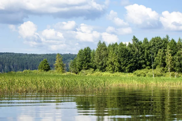 Zomer Wolken Rivier Riet Bomen Een Grote Natuurlijke Stroom Van — Stockfoto