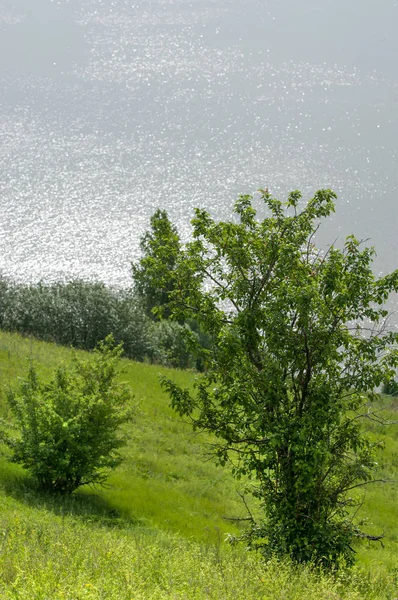 Yaz nehir. Yüksek Rock. Mavi gökyüzü. güzel sahne