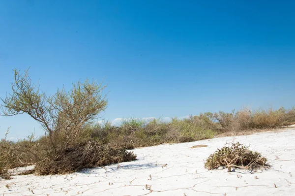 Saline Photographed Nature — Stock Photo, Image