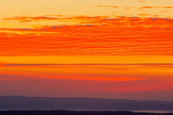 Bříza Lesní Krajina Pohled Hory Při Západu Slunce Sunrise — Stock fotografie