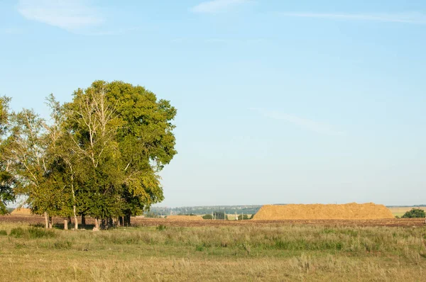 Yaz aylarında taze sürülmüş alan, saman yığınları, kavak