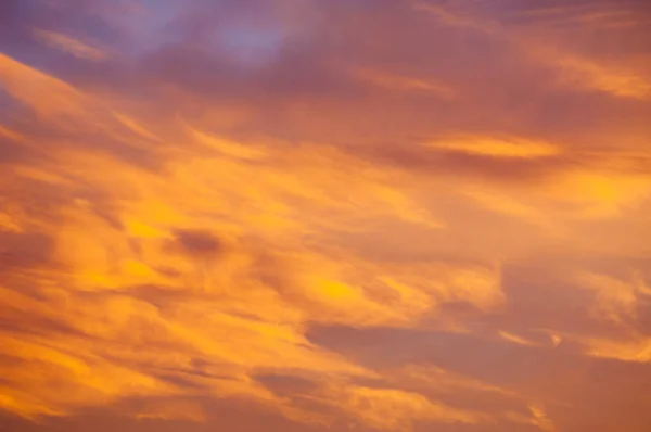 Summer Steppe Sunset Sunrise Fiery Sky Good Saver Background Texture — Stock Photo, Image