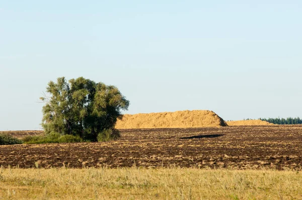 Yaz aylarında taze sürülmüş alan, saman yığınları, kavak