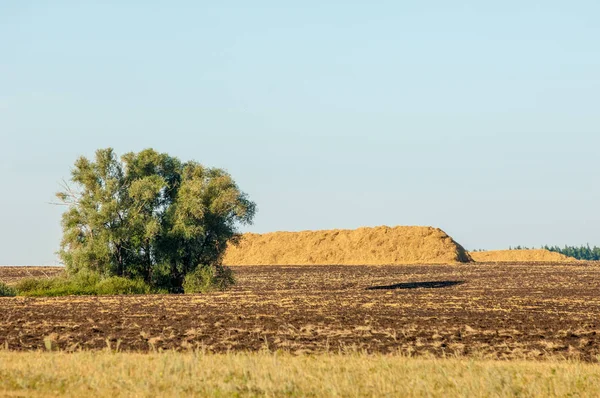 Yaz aylarında taze sürülmüş alan, saman yığınları, kavak