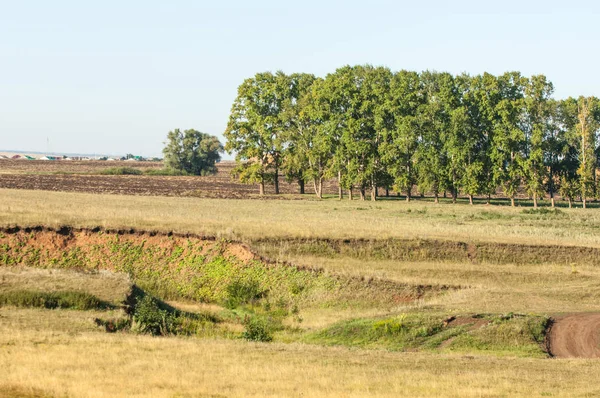 Yaz aylarında taze sürülmüş alan, saman yığınları, kavak