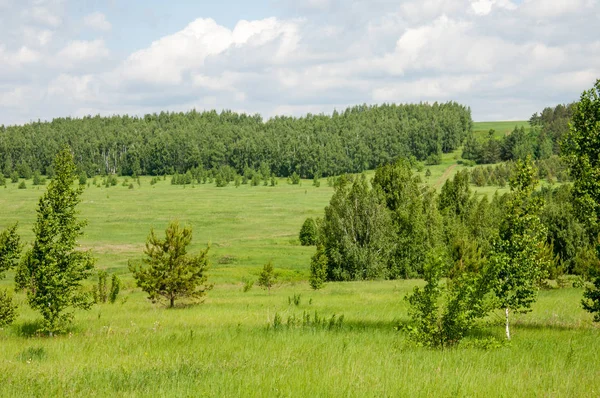 geometrické papírové abeceda