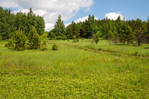 geometrické papírové abeceda