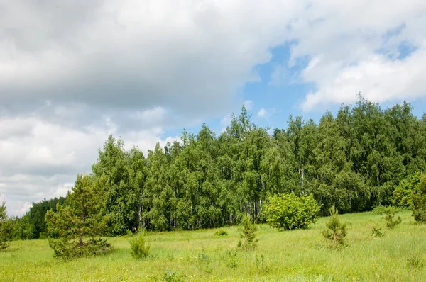 geometrické papírové abeceda