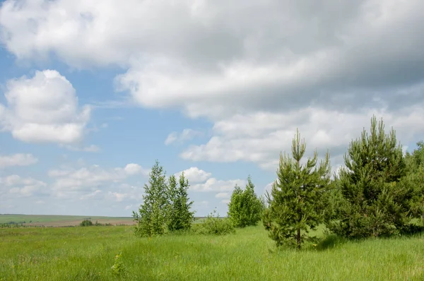 geometrické papírové abeceda