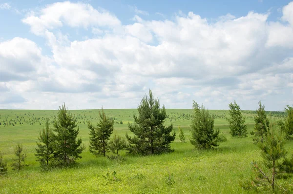 geometrické papírové abeceda