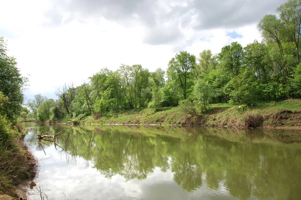 Vezi de mongolă pustie zona - înflorire Lunca şi zada lemn - sayan munte - gorhi-terelj national park - Parcul mongolianational - mongolia