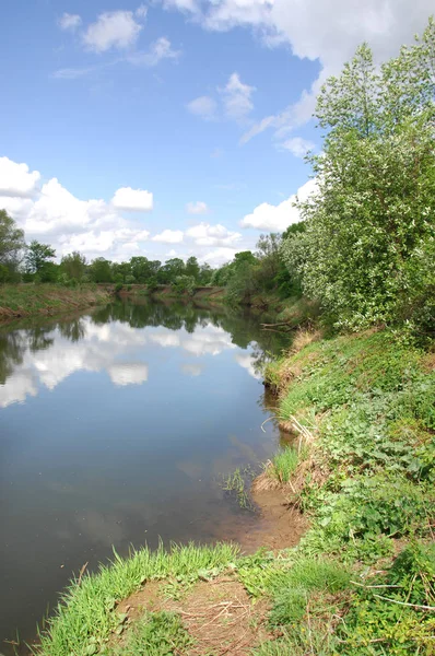 Vezi de mongolă pustie zona - înflorire Lunca şi zada lemn - sayan munte - gorhi-terelj national park - Parcul mongolianational - mongolia