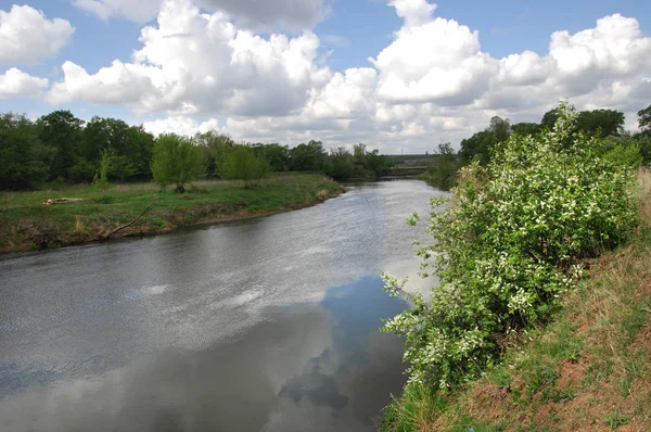 Vezi de mongolă pustie zona - înflorire Lunca şi zada lemn - sayan munte - gorhi-terelj national park - Parcul mongolianational - mongolia