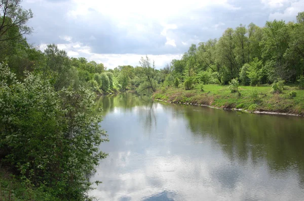 Yaban elması ve yaban elması. Malus, gülgiller (Rosaceae) familyasından bir elma ağacı cinsidir.