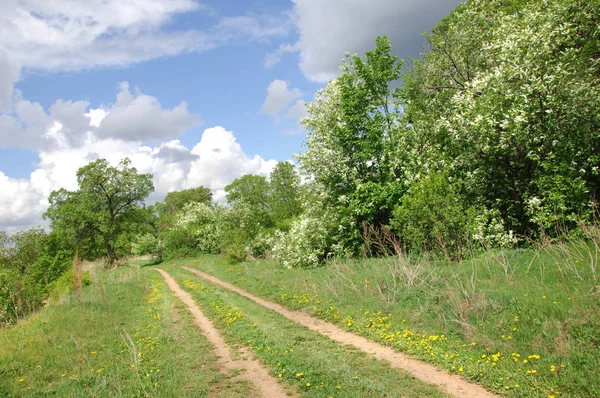 Yaban elması ve yaban elması. Malus, gülgiller (Rosaceae) familyasından bir elma ağacı cinsidir.