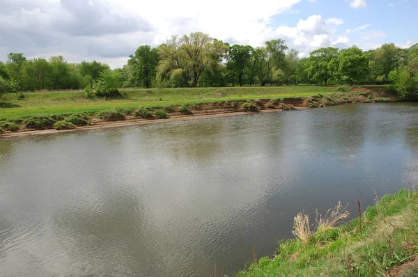 Yaban elması ve yaban elması. Malus, gülgiller (Rosaceae) familyasından bir elma ağacı cinsidir.