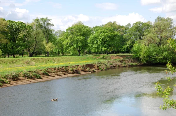 Yaban elması ve yaban elması. Malus, gülgiller (Rosaceae) familyasından bir elma ağacı cinsidir.