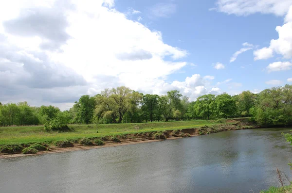 Yaban elması ve yaban elması. Malus, gülgiller (Rosaceae) familyasından bir elma ağacı cinsidir.