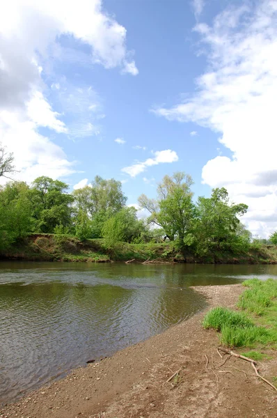 Yaban elması ve yaban elması. Malus, gülgiller (Rosaceae) familyasından bir elma ağacı cinsidir.