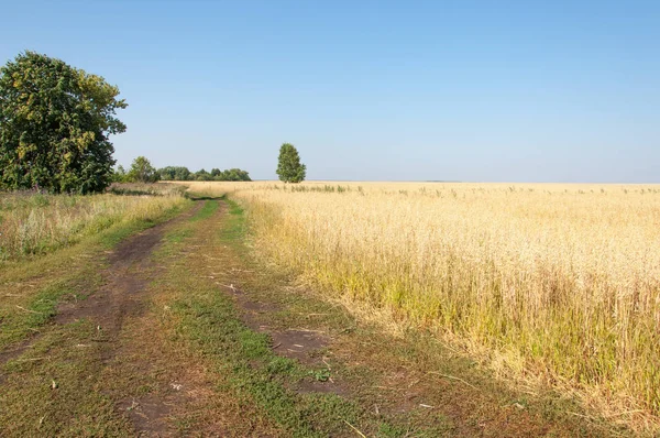 Yaban elması ve yaban elması. Malus, gülgiller (Rosaceae) familyasından bir elma ağacı cinsidir.
