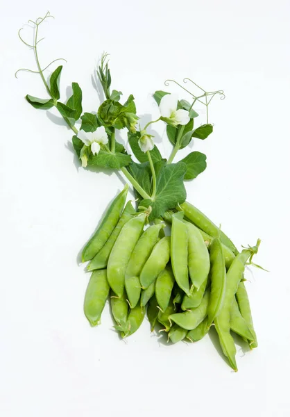 Guisantes Verdes Vaina Guisantes Guisantes Pease Bala — Foto de Stock